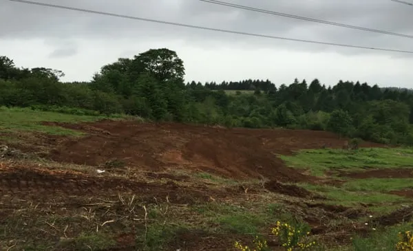 All Around Land Clearing Logo