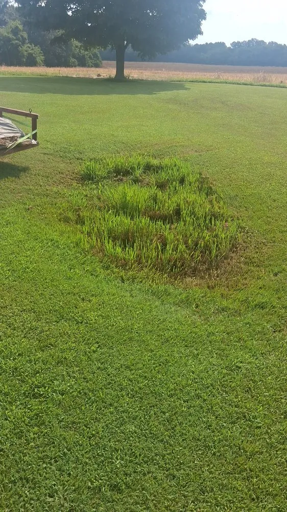 Custom residential landscaping near you across Benton, KY - All Around Land Development & Property Maintenance