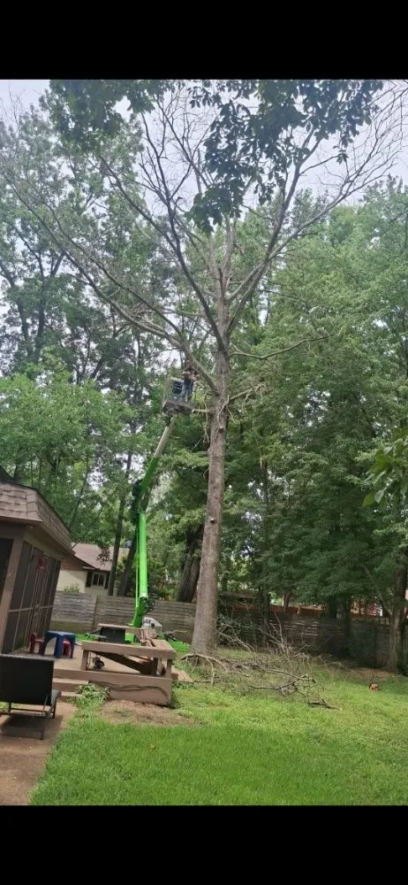 Professional landscape design with custom design in Benton, KY by All Around Land Development & Property Maintenance