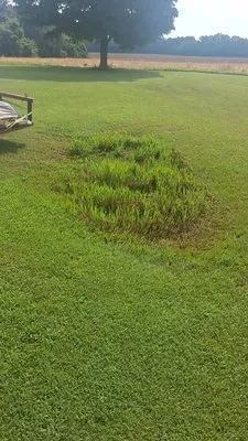 All Around Land Development & Property Maintenance