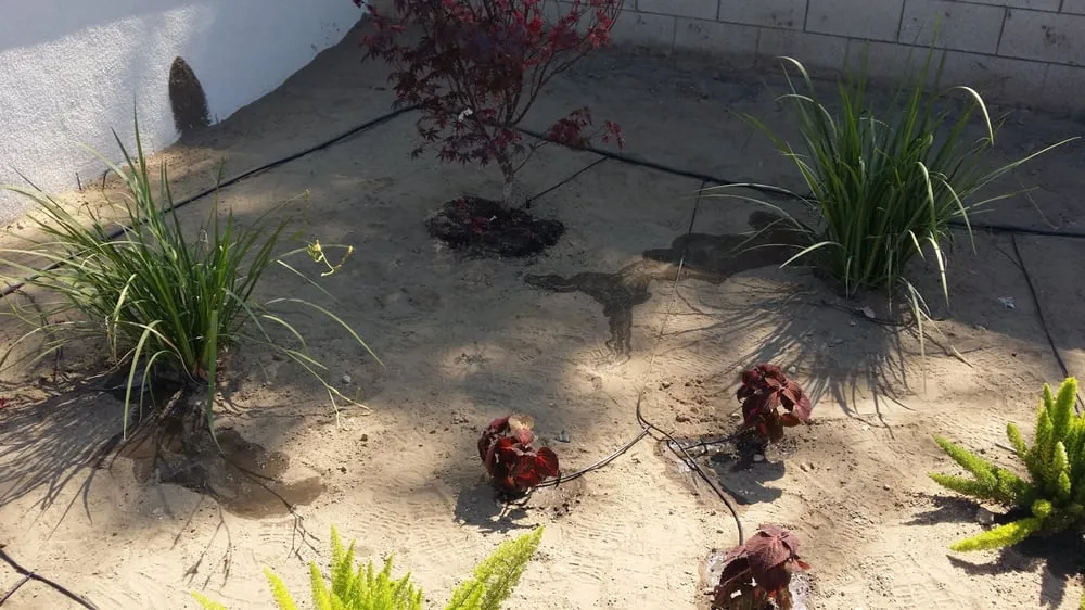 Top-rated garden landscaping in Bloomington, CA - All Around Landscape