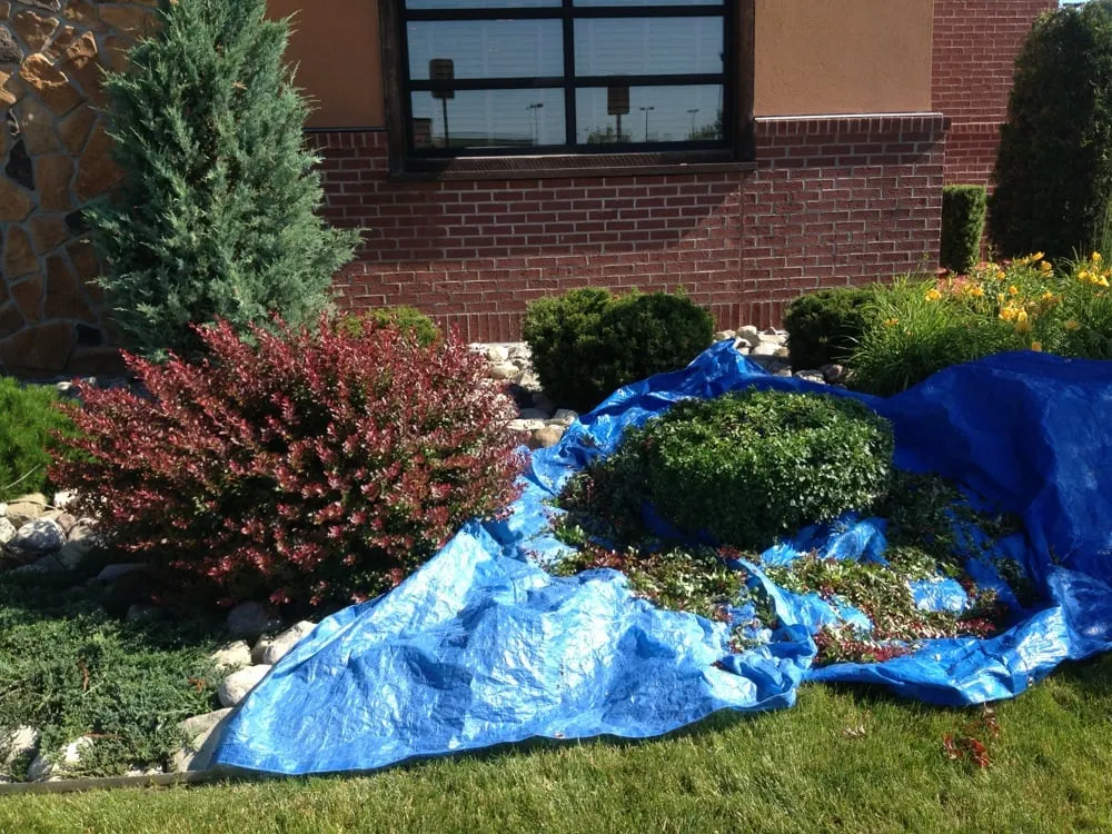 Reliable landscape installation in Henrietta, NY by All Around Landscape