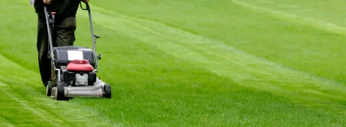 Top-rated landscape design in Henrietta, NY by All Around Landscape