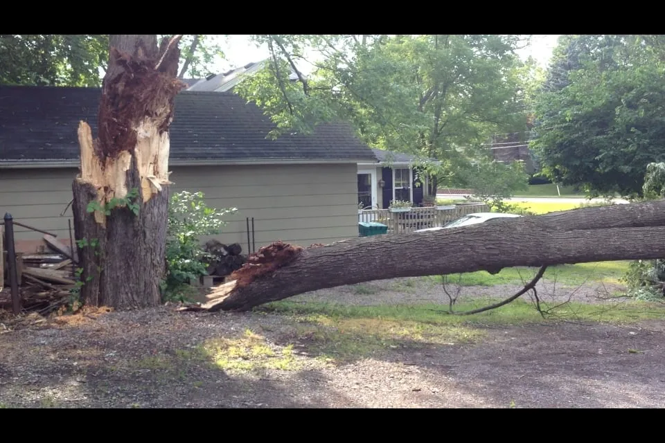 Trusted garden landscaping in Henrietta, NY - All Around Landscape