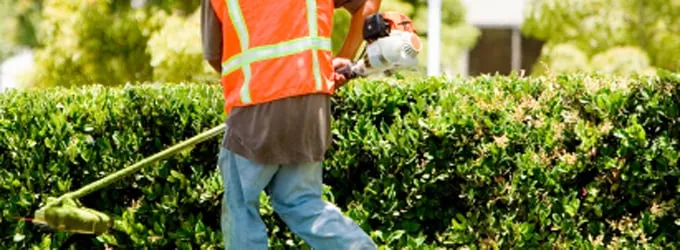 Reliable yard cleanup service experts serving Henrietta, NY - All Around Landscape