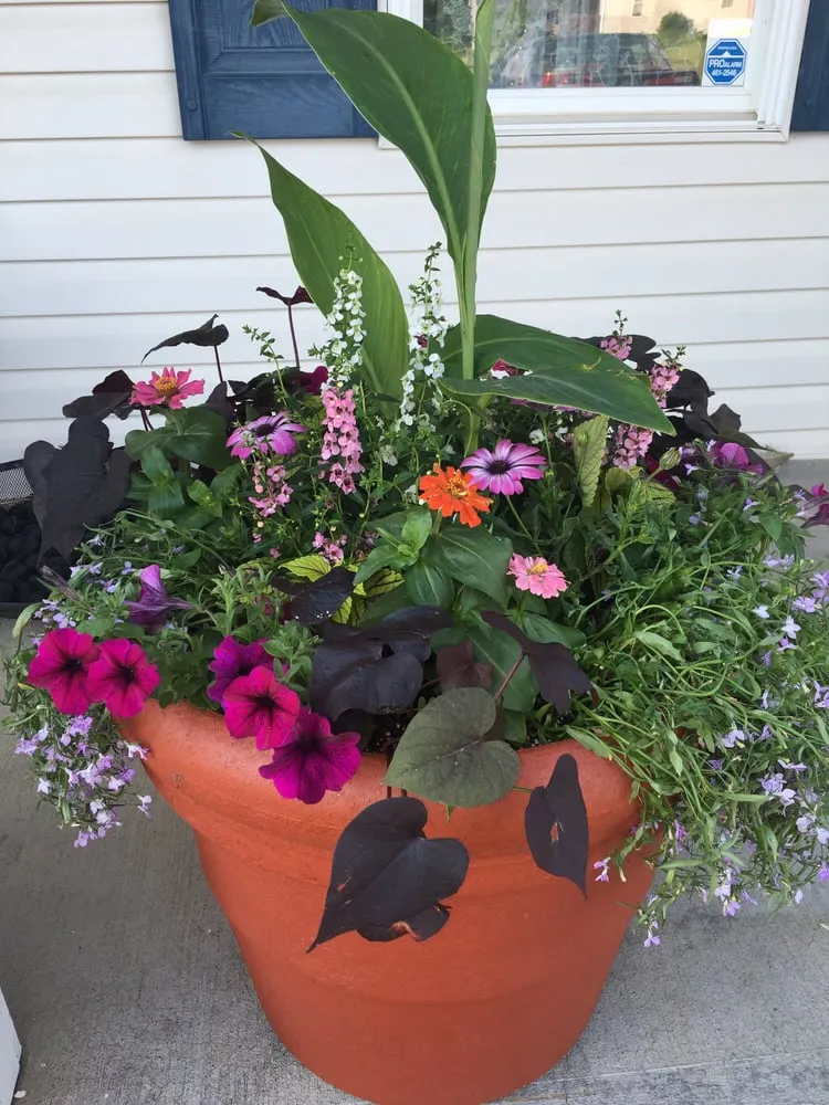 Reliable outdoor landscaping in Henrietta, NY by All Around Landscape