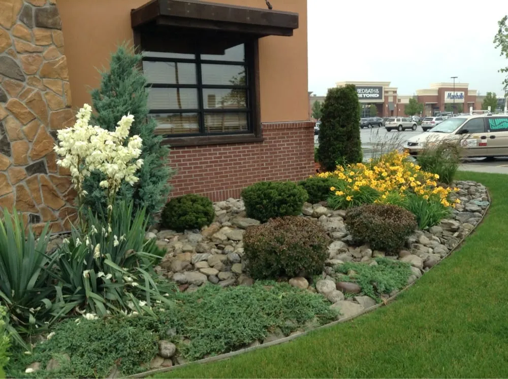 Top-rated lawn care service for year-round maintenance across Henrietta, NY - All Around Landscape