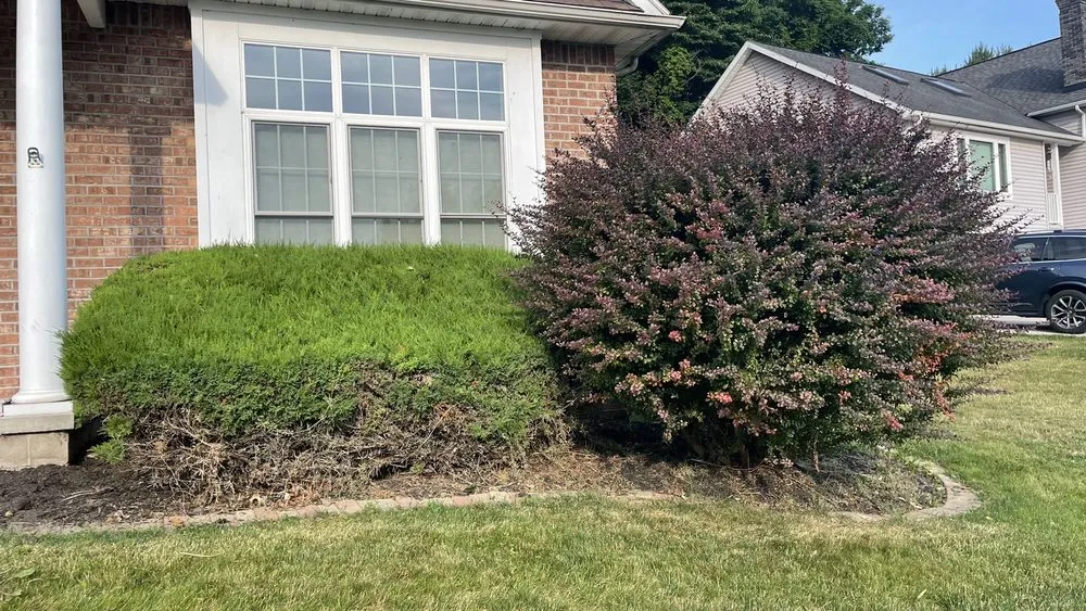 Professional landscape installation in Henrietta, NY - All Around Landscape