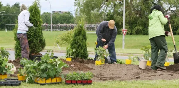 Local residential landscaping experts serving Henrietta, NY - All Around Landscape