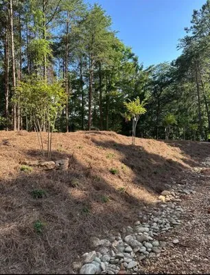 All Around Landscape