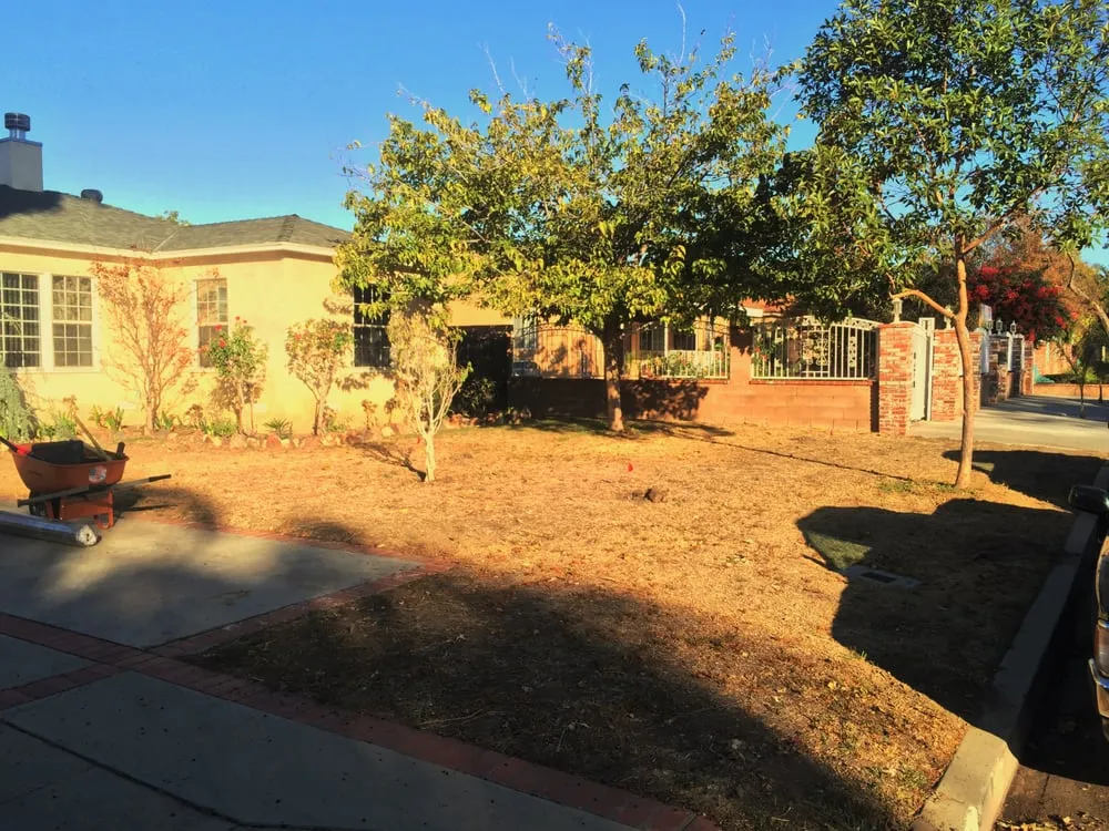 Top-rated yard maintenance for year-round maintenance in Santa Clarita, CA by All Around Landscape