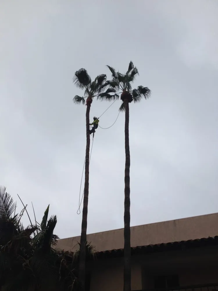 Professional landscape design for year-round maintenance across Santa Clarita, CA - All Around Landscape