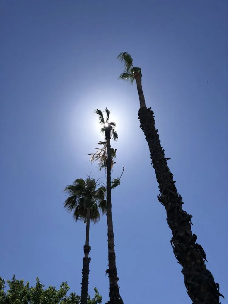 Top-rated garden landscaping in Santa Clarita, CA - All Around Landscape