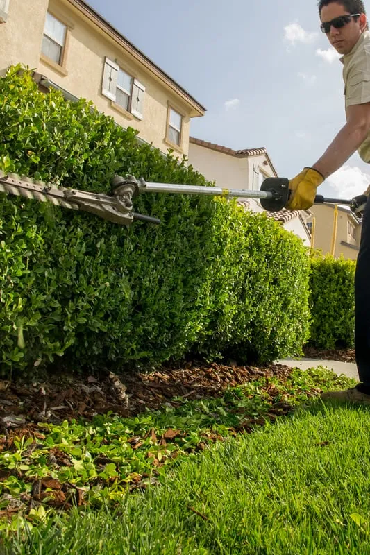 Professional garden landscaping in Santa Clarita, CA - All Around Landscape
