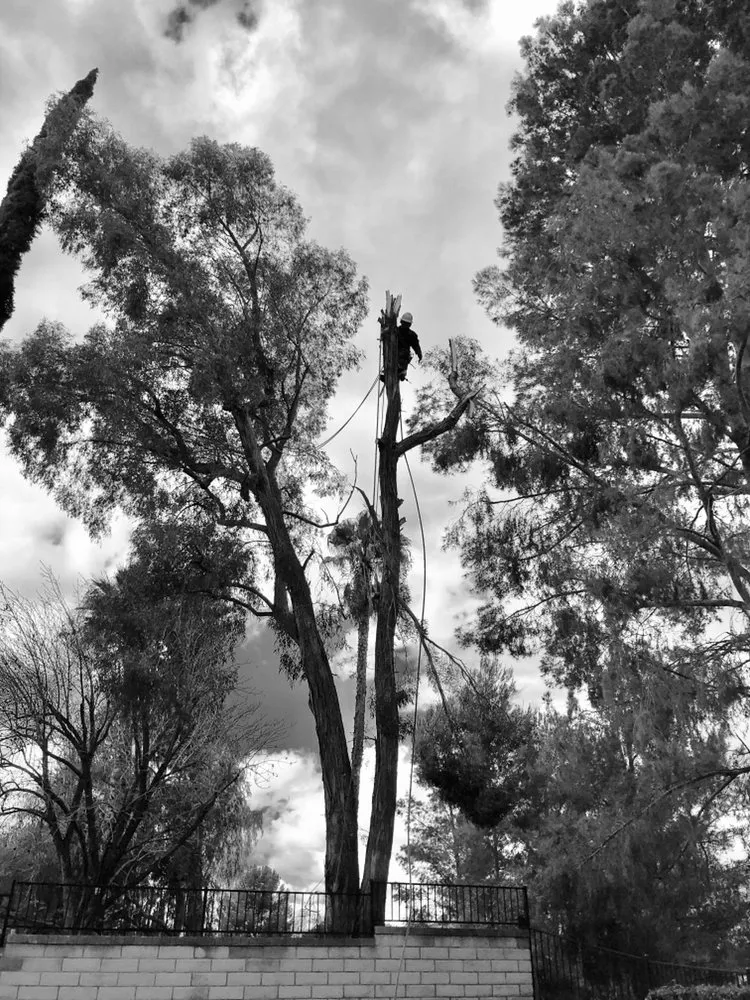 Custom residential landscaping experts serving Santa Clarita, CA - All Around Landscape