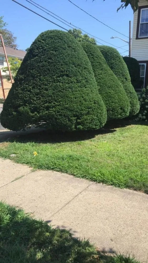 Affordable garden landscaping in Salem, MA by All Around Landscaping & Masonry