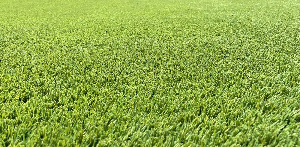 Professional landscaping services in Albuquerque, NM by All Around Landscaping