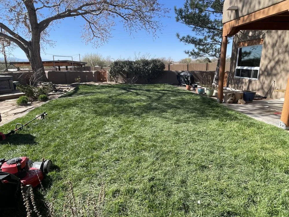 Professional yard cleanup service in Albuquerque, NM by All Around Landscaping