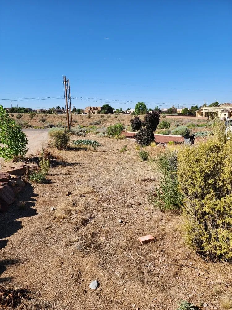 Trusted residential landscaping for beautiful yards in Albuquerque, NM by All Around Landscaping