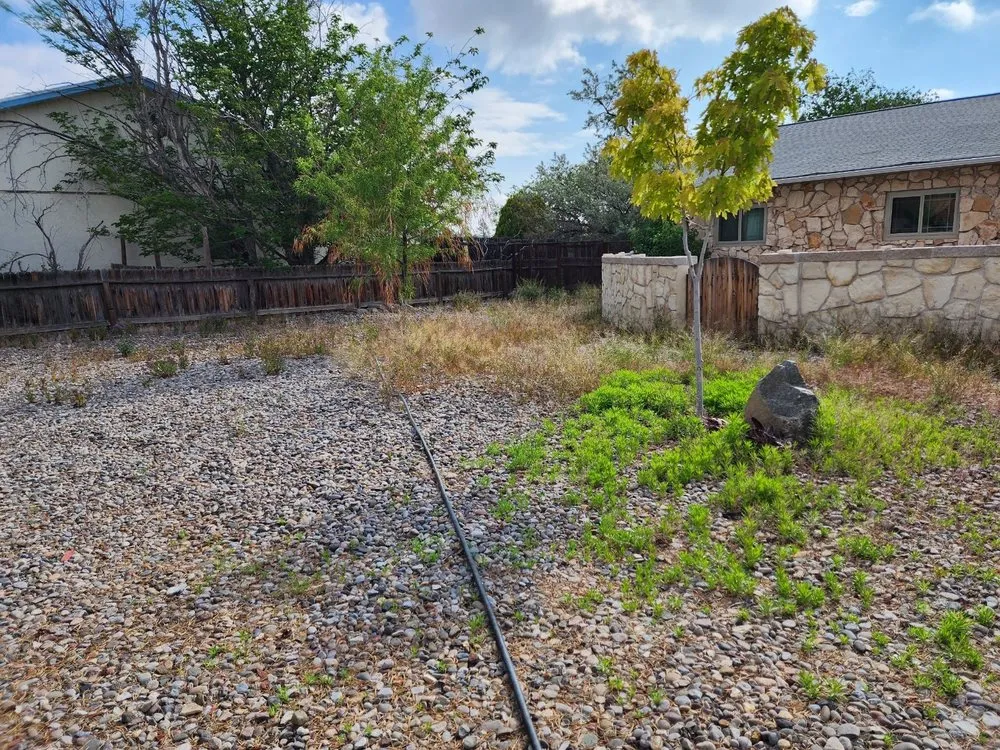 Expert yard maintenance experts serving Albuquerque, NM - All Around Landscaping