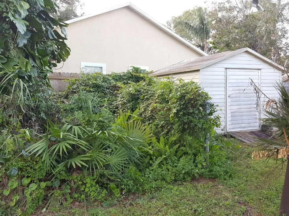 Local landscape installation experts serving Cocoa, FL - All Around Landscaping and Tree Service