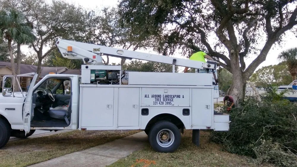 Professional landscaping services with custom design in Cocoa, FL by All Around Landscaping and Tree Service