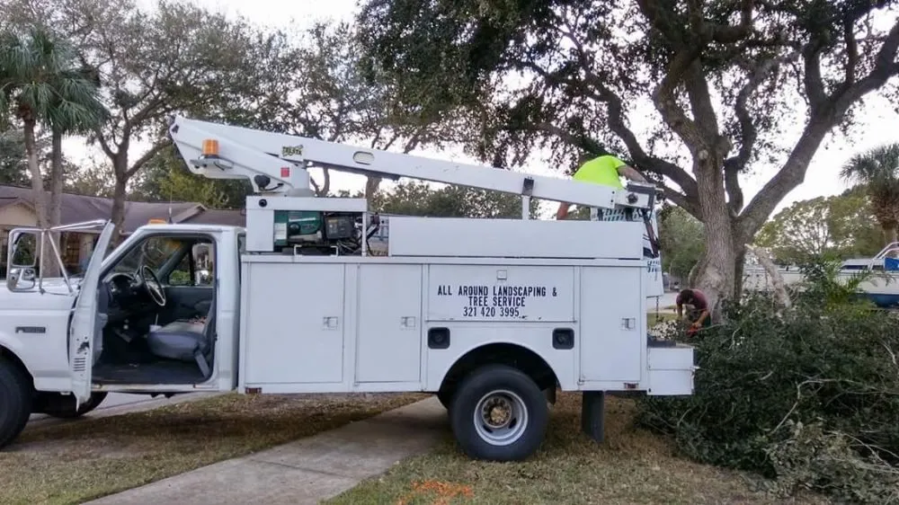 Professional outdoor landscaping in Cocoa, FL by All Around Landscaping and Tree Service