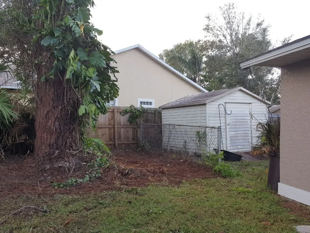 Top-rated lawn care service in Cocoa, FL by All Around Landscaping and Tree Service