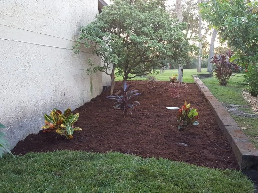 Top-rated lawn care service experts serving Cocoa, FL - All Around Landscaping and Tree Service