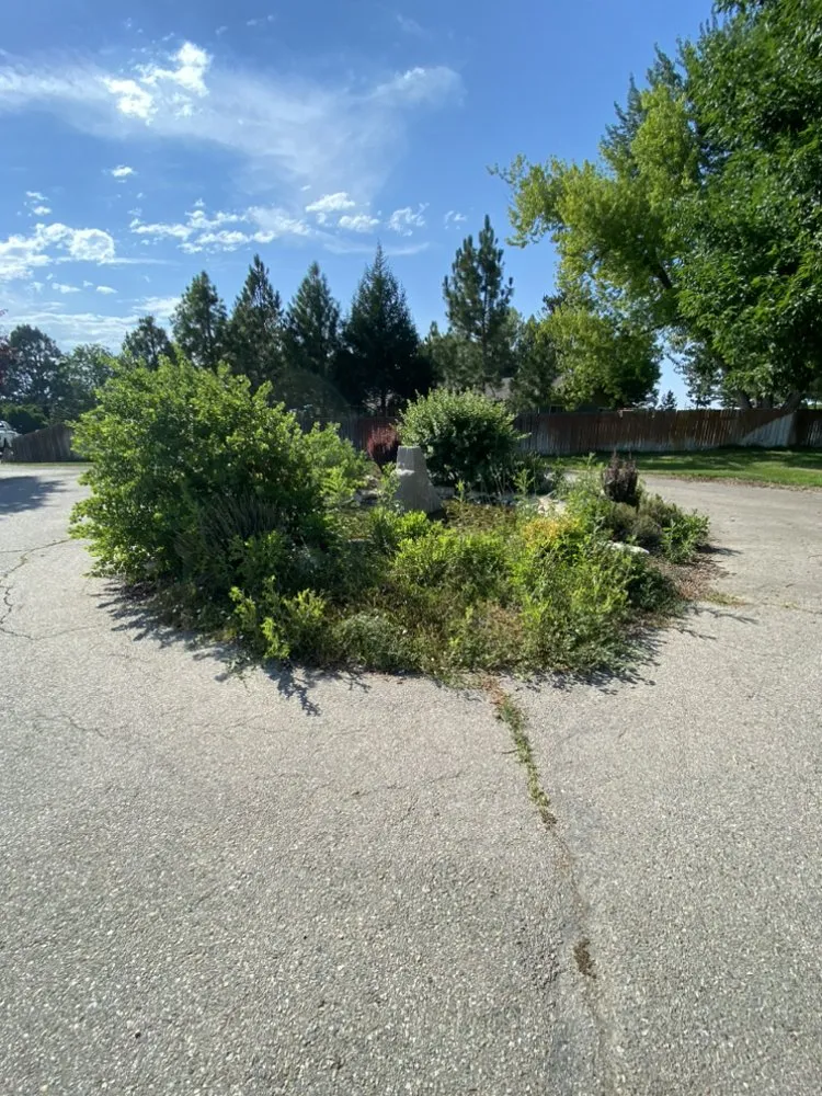 Local landscaping services experts serving Nampa, ID - All Around Landscaping