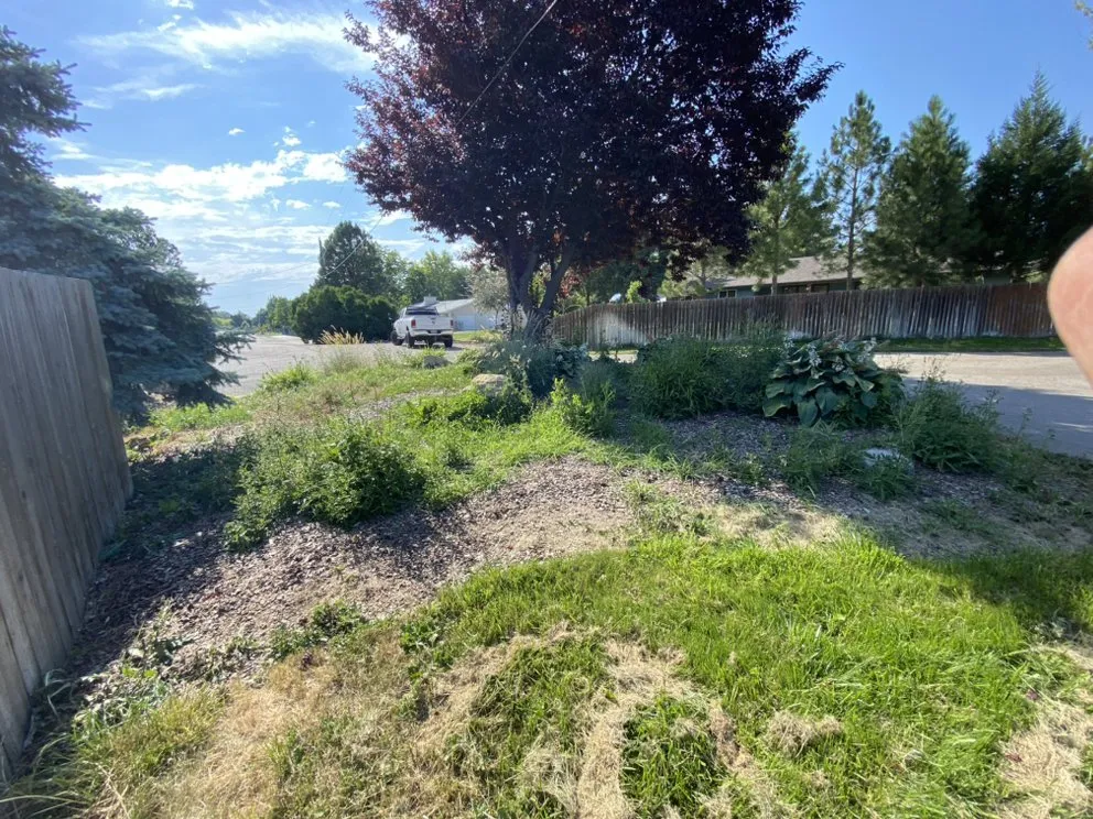 Professional yard maintenance in Nampa, ID - All Around Landscaping