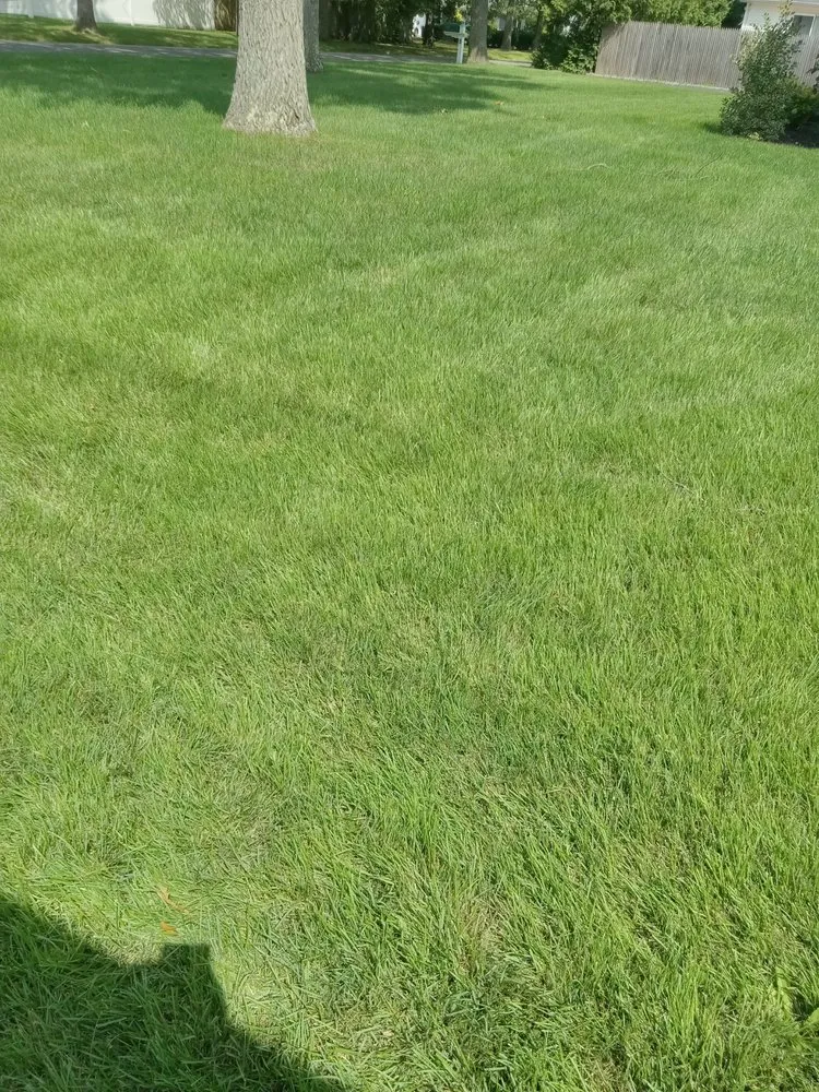 Affordable landscape design in Patchogue, NY by All Around Landscaping