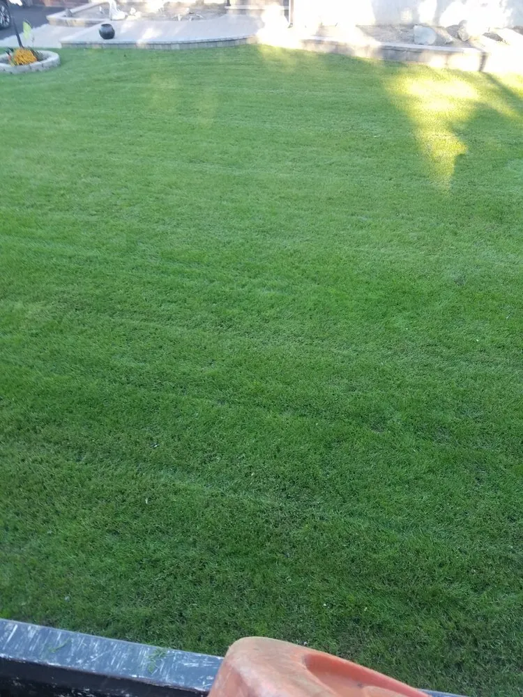 Affordable landscaping services in Patchogue, NY by All Around Landscaping