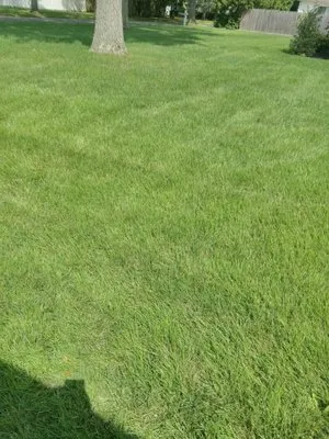 All Around Landscaping Logo