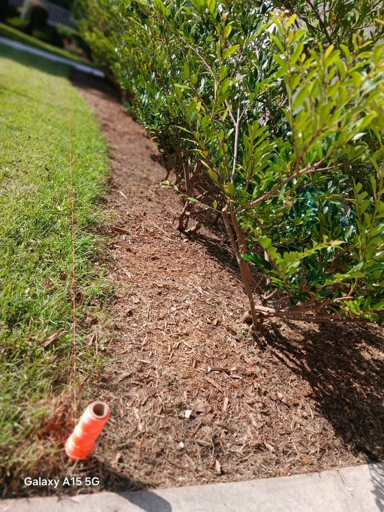 Professional landscaping services for outdoor upgrades in Johns Island, SC by All Around Landscaping Services