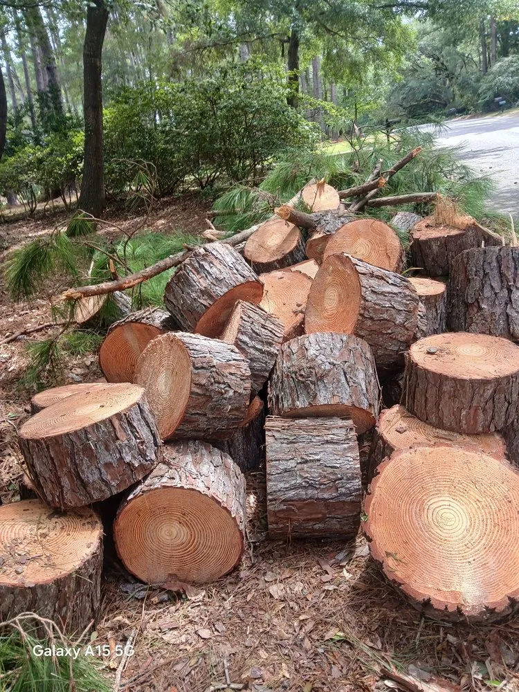 Local landscaping services experts serving Johns Island, SC - All Around Landscaping Services