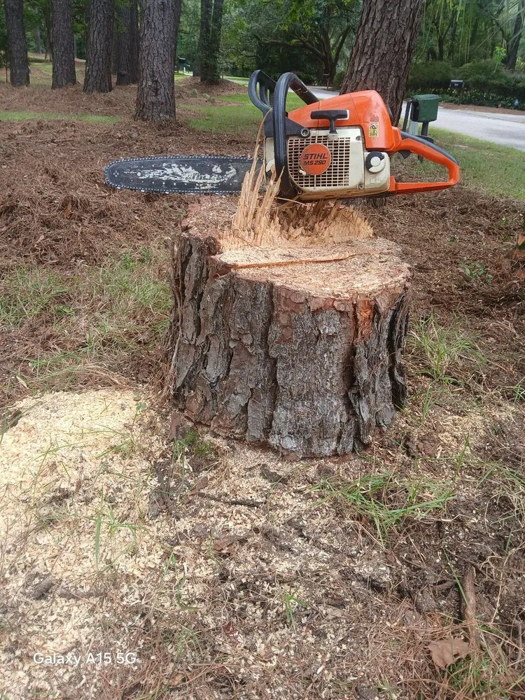 Reliable lawn mowing service for beautiful yards in Johns Island, SC by All Around Landscaping Services