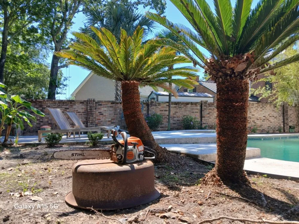Reliable landscape design in Johns Island, SC - All Around Landscaping Services