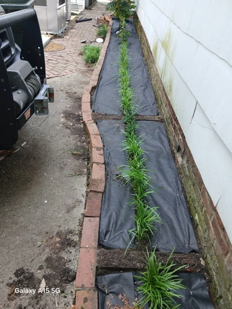 Professional yard cleanup service for outdoor upgrades across Johns Island, SC - All Around Landscaping Services