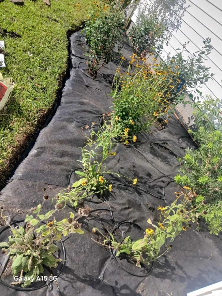 Affordable garden landscaping for year-round maintenance in Johns Island, SC by All Around Landscaping Services