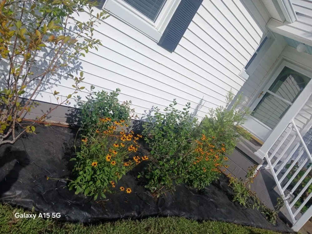 Professional garden landscaping in Johns Island, SC by All Around Landscaping Services
