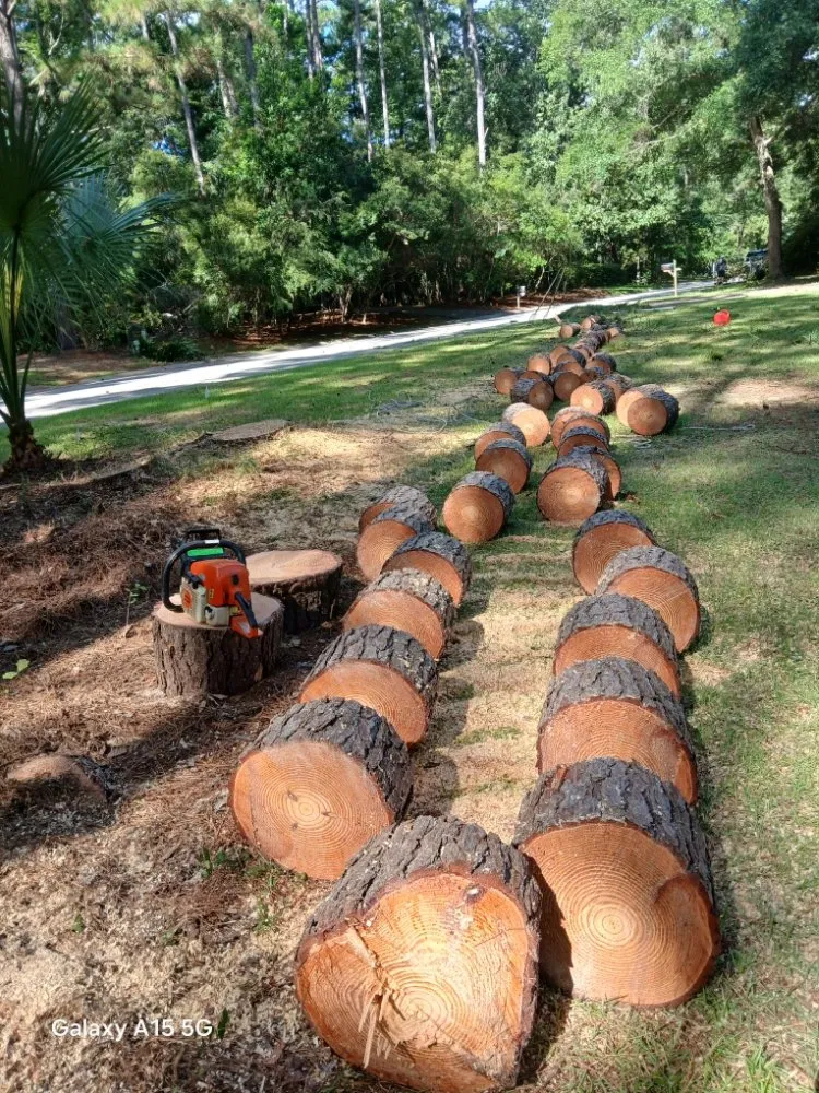 Local landscape installation for homes across Johns Island, SC - All Around Landscaping Services