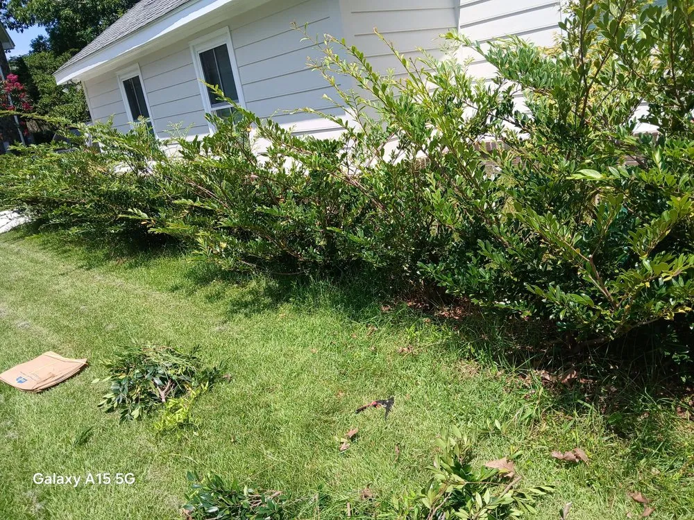 Top-rated lawn care service in Johns Island, SC by All Around Landscaping Services