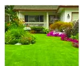 Custom lawn mowing service experts serving Lehigh Acres, FL - All Around Landscaping Services