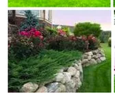 Custom landscaping services experts serving Lehigh Acres, FL - All Around Landscaping Services