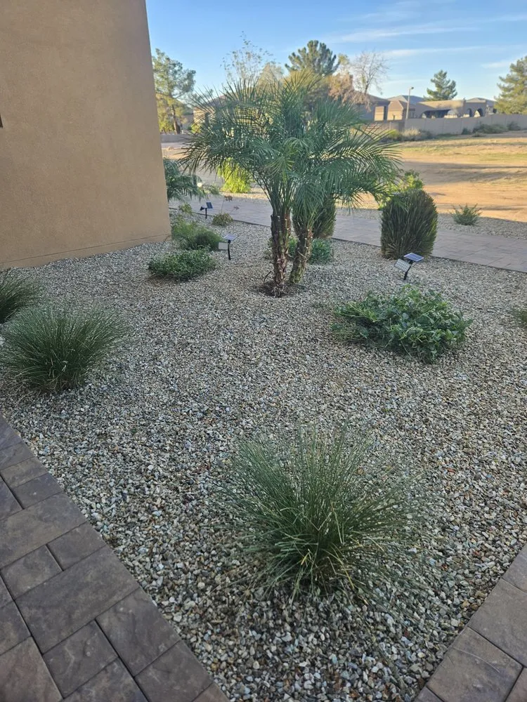 Top-rated lawn care service for residential properties in Surprise, AZ by All Around Landscaping