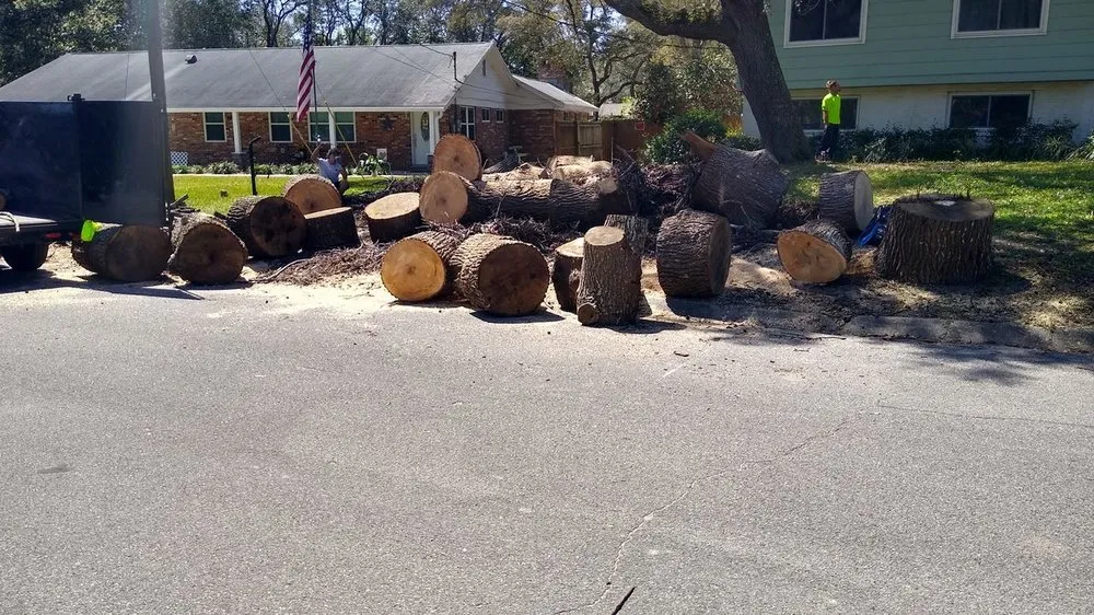 Expert yard maintenance experts serving Fort Walton Beach, FL - All Around Lawn and Handy Tree Service