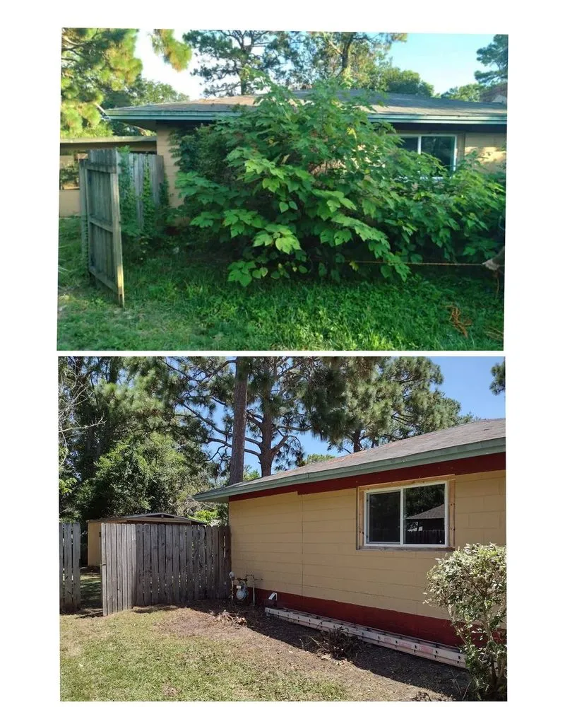 Affordable landscaping services experts serving Fort Walton Beach, FL - All Around Lawn and Handy Tree Service