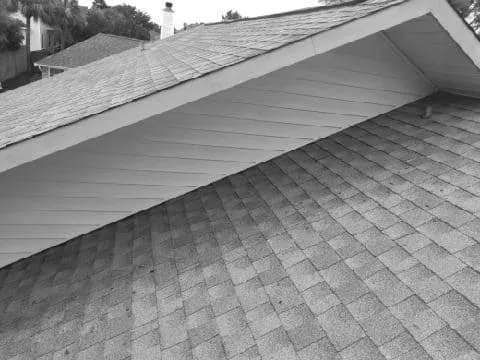 All Around Lawn and Handy Tree Service