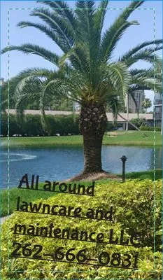 All Around Lawn Care & Maintenance Logo
